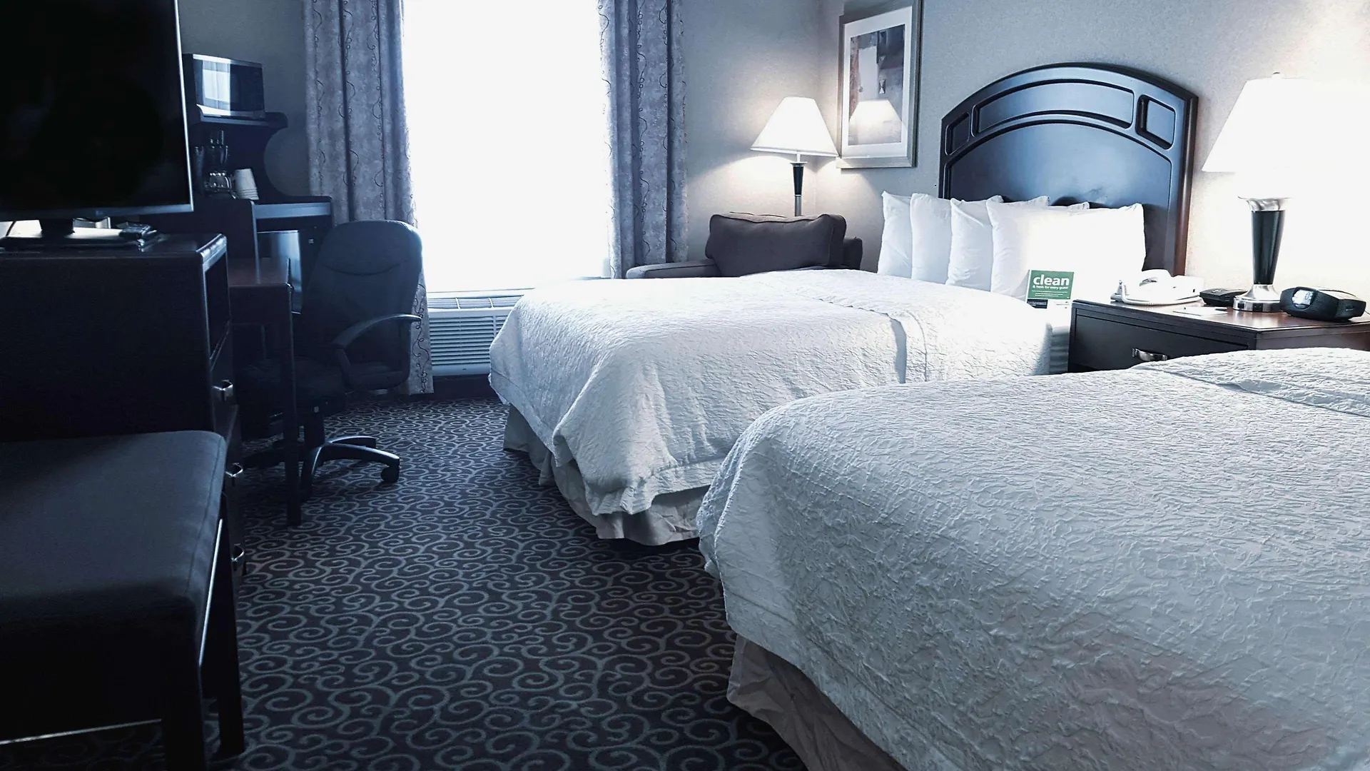 Hotel Hampton Inn & Suites By Hilton Edmonton International Airport Leduc
